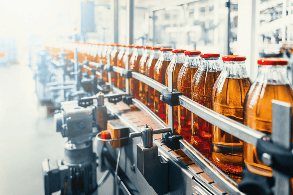 Beverage Conveyor Belt